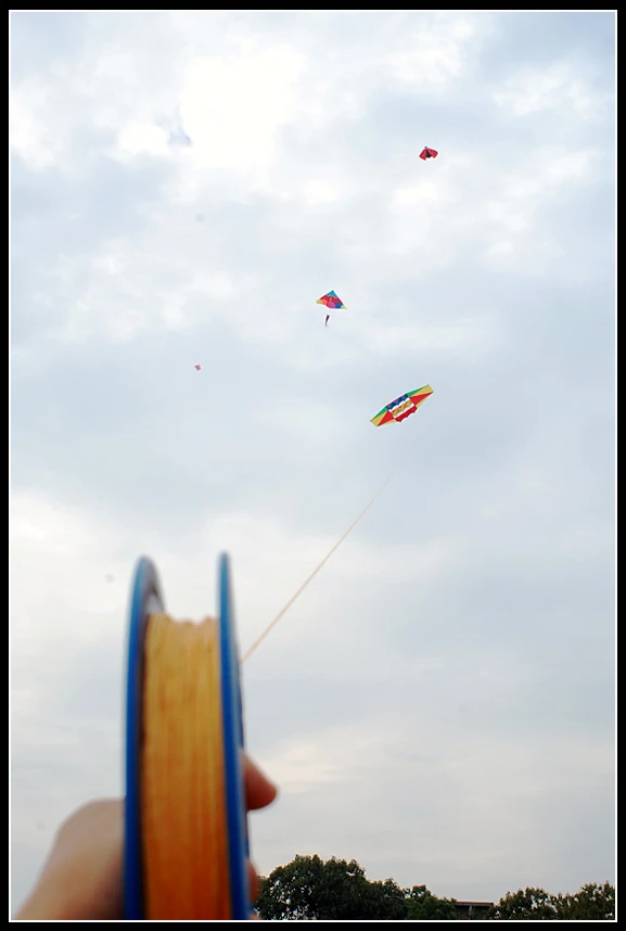 A close-up view of a flying kite soaring in the cloudy sky, with kite strings in the foreground.