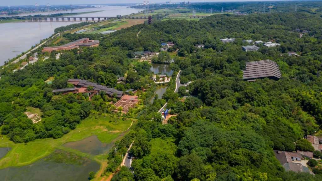 Tongguan Museum Birdview