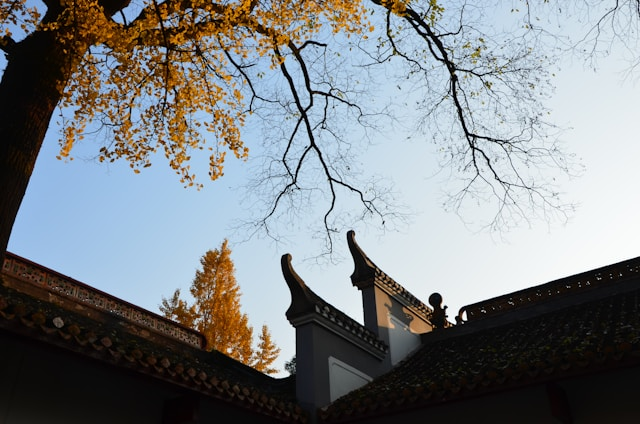 Yuelu Moutain Achitecture by Ray Gerry